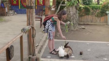 Endonezya, Bali, 05.11.2024 - Renkli kıyafetli bir kadın evcil hayvan çiftliğinde tavşanları ve kobayları besliyor. Bir iguana çitin üzerinde dinlenirken görülüyor, büyüleyici ve etkileşimli sahneyi ekliyor.