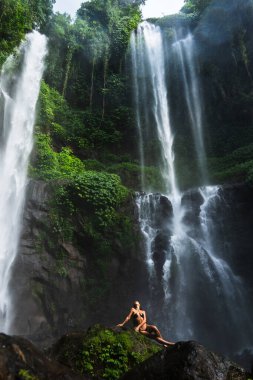 Umman, sık bir ormanda şelale arkaplanı olan bir kayanın üzerinde düşünceli bir şekilde oturuyor..