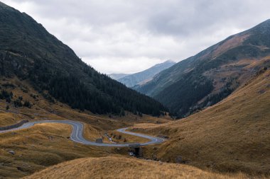 Karpat dağları boyunca çam ormanları ve çimenli yamaçlarla çevrili dolambaçlı bir yol uzanır. Bulutlu gökyüzü bu görkemli ve engebeli manzaranın huzurlu ve uzak hissini arttırır..