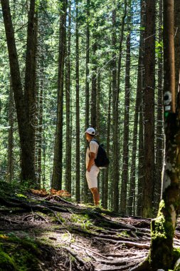 Beyaz şortlu, tişörtlü ve sırt çantalı genç bir adam ormanda, dağlardaki ağaçların arasında duruyor..