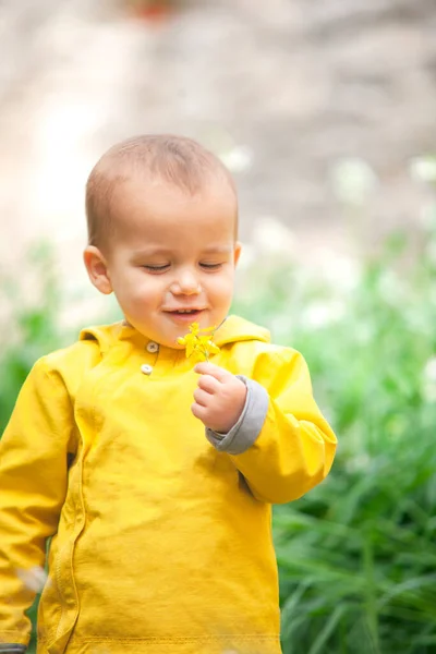 A kid with a yellow jacket stands in the middle of a green meadow, carefully observing a delicate yellow flower held in their hands.