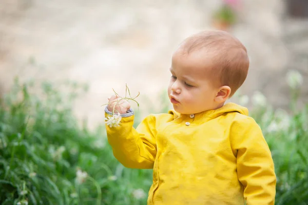 A young child with a yellow jacket stands in the middle of a green meadow, carefully observing a delicate white flower held in their tiny hands.