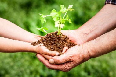 Bir adam ve bir çocuk ellerinde bir bitki tutuyor. Bitki küçük bir bitki ve iki insan gülümsüyor. Sıcaklık ve mutluluk kavramı