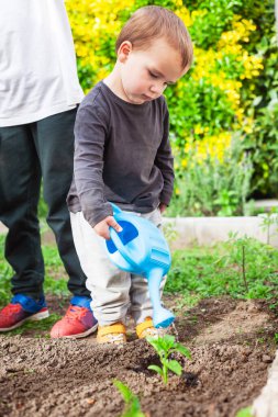 Genç bir çocuk mavi bir sulama kutusuyla bir bitkiyi suluyor. Sahne huzurlu ve sakin, çocuk görevine odaklanmış.