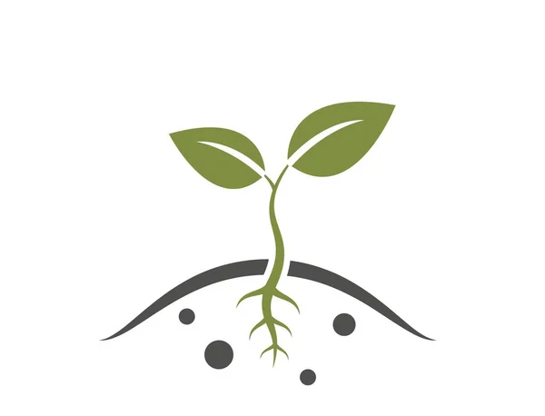 Plant Sprout Icoon Uit Grond Ontsproten Symbool Voor Landbouw Aanplant — Stockvector