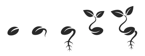Набір Значків Проростання Насіння Паросток Посадка Проростання Насіння Символи Сільського — стоковий вектор