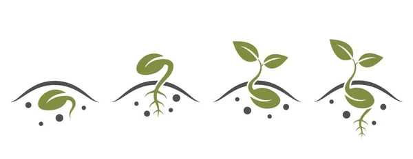 Keimsymbole Gesetzt Sprießen Pflanzen Sämlinge Und Landwirtschaft Symbol Isoliertes Vektorbild — Stockvektor