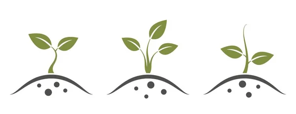 植物萌芽图标集 发芽和种植的象征 用简单的方式孤立矢量图像 — 图库矢量图片