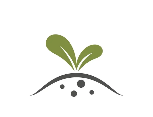 种子的图标 植物萌芽 种植和农业符号 用简单的方式孤立矢量图像 — 图库矢量图片