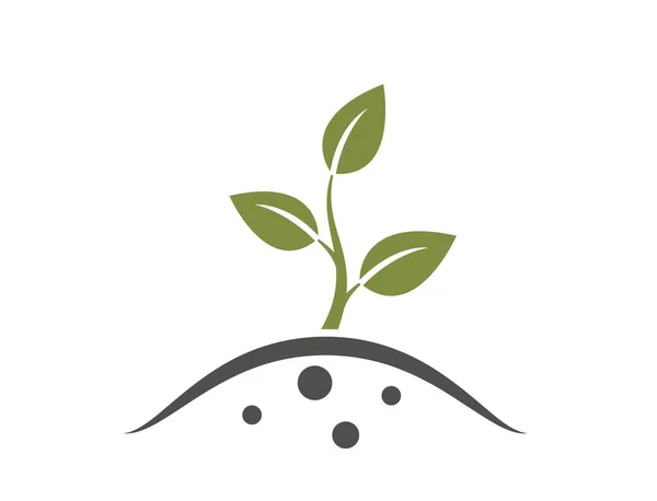 绿色植物发芽 耕作和农业符号 孤立矢量图像 — 图库矢量图片