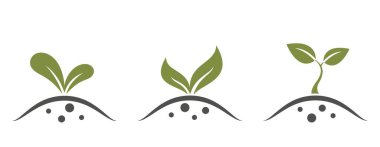 Tohum ikonu seti. bitki filizi, ekme, tarım ve tarım sembolü. izole vektör resmi