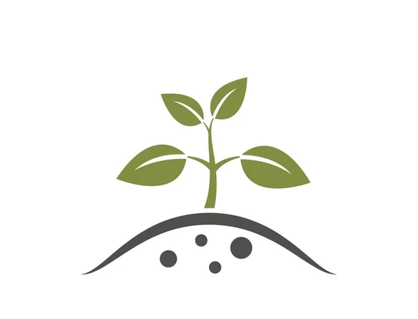 Tumbuh Ikon Tanaman Berkebun Menanam Bibit Dan Tumbuh Simbol Gambar - Stok Vektor