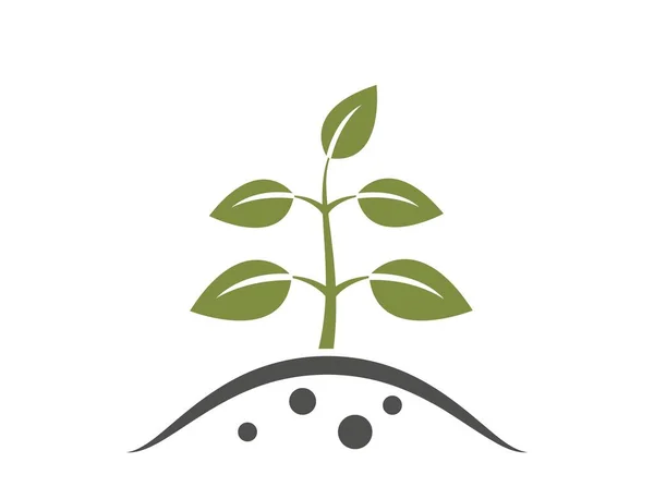 地面上的幼树图标 种植和生长符号 孤立矢量图像 — 图库矢量图片