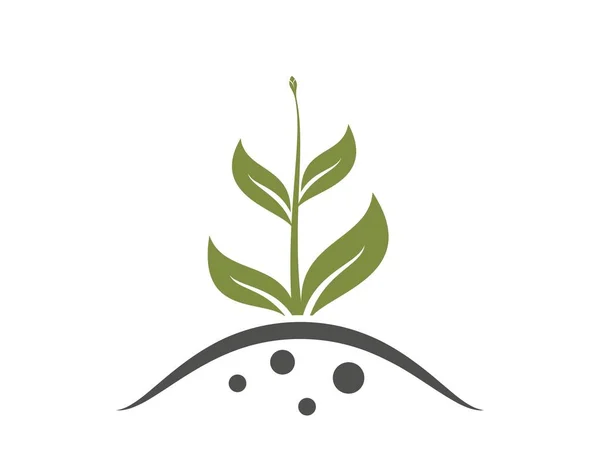 Gekeimte Pflanze Mit Knospe Gärtnern Pflanzen Und Wachsen Von Symbolen — Stockvektor