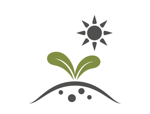 在阳光下萌芽 植物萌芽 耕作和农业符号 孤立矢量图像 — 图库矢量图片