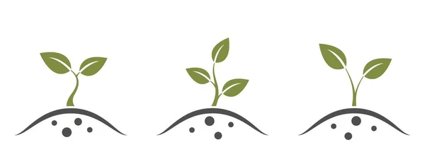 Растительный Набор Символ Посадки Саженцев Земледелия Садоводства Изолированное Векторное Изображение — стоковый вектор