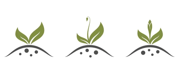 Tavaszi Növény Hajtás Ikonok Ültetési Kertészeti Mezőgazdasági Szimbólum Izolált Vektorkép — Stock Vector