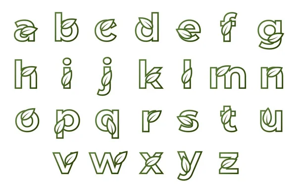 Letras Línea Minúsculas Con Conjunto Hojas Alfabeto Ecológico Diseño Naturaleza — Vector de stock