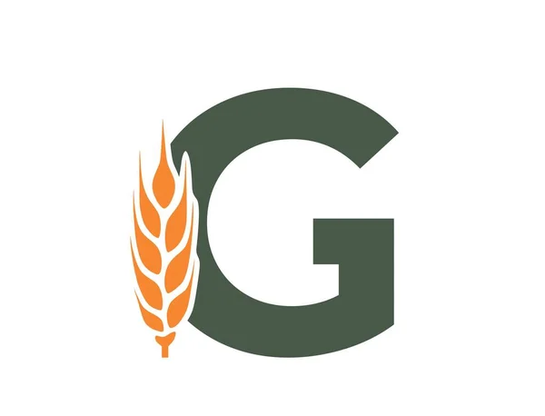 Litera Uchem Pszenicy Twórcze Zbiory Logo Alfabetu Żywności Ekologicznej Rolnictwo — Wektor stockowy