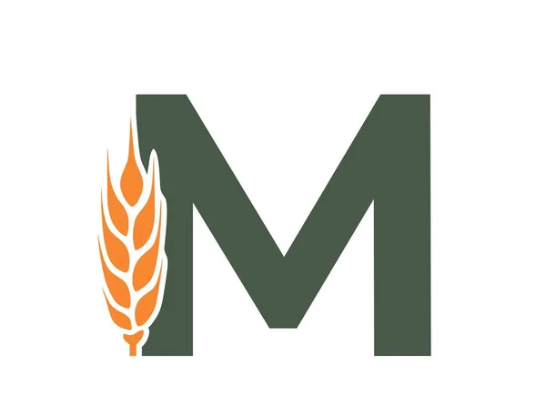 Letter Met Tarweoor Oogsten Logo Van Biologische Voedseltekst Landbouw Graangewassen — Stockvector
