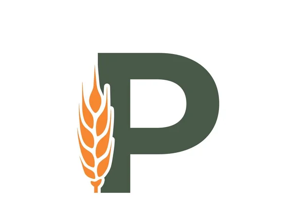 Letter Met Tarweoor Het Logo Van Het Oogstalfabet Graan Landbouw — Stockvector