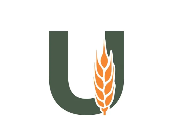 Litera Uchem Pszenicy Zbiory Symbol Logo Alfabetu Żywności Ekologicznej Uprawa — Wektor stockowy