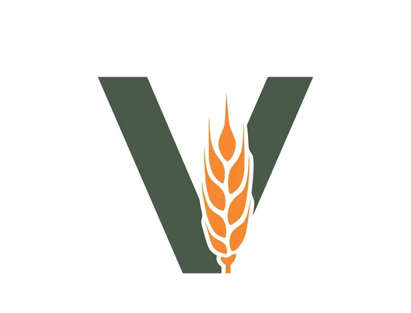 Letter Met Tarweoor Oogst Biologisch Alfabet Logotype Graan Landbouw Landbouw — Stockvector