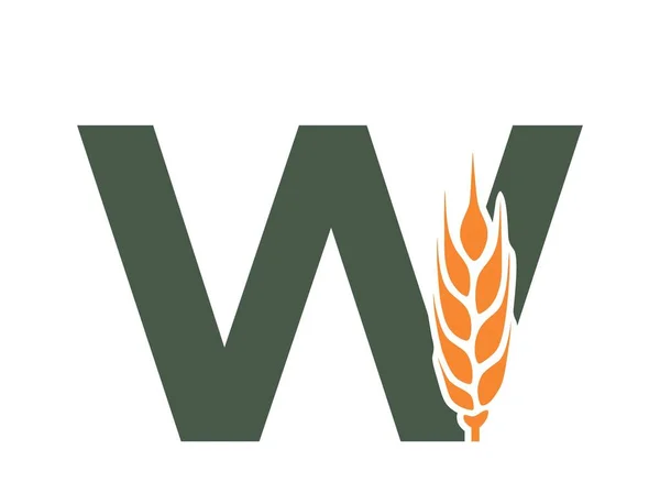 Litera Uchem Pszenicy Zbiorów Żywności Ekologicznej Alfabetu Symbol Logotypu Uprawa — Wektor stockowy