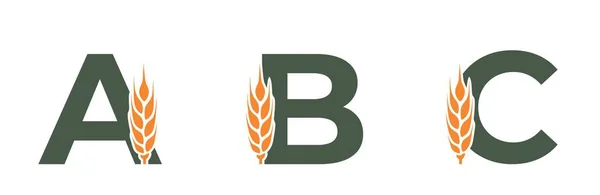小麦の耳が付いているBcの首都の手紙 アルファベットのデザインを収穫 シリアル農業 穀物作物ベクター画像 — ストックベクタ