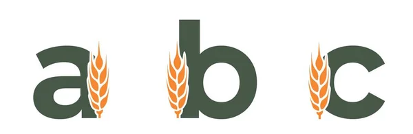 Kleinbuchstaben Mit Weizenähre Erntebuchstabendesign Getreideanbau Landwirtschaft Und Getreidepflanzenvektorbild — Stockvektor