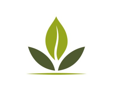 Bitki filizi ikonu. organik, eko, ilkbahar ve doğa sembolü. Düz dizayndaki izole vektör resmi