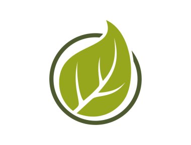 Çevre dostu ikon. Çember halinde yaprak. Biyolojik ve organik sembol. Düz dizayndaki izole vektör resmi