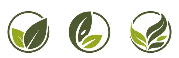 Иконки Органических Продуктов Листья Кругу Экологически Чистые Природные Биосимволы Изолированные Стоковый вектор