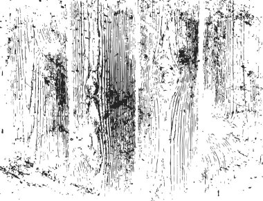 Grunge ahşap dokusu. Siyah arka plan tasarımı. Beyaz arkaplanda izole edilmiş vektör soyut deseni