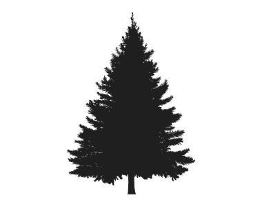 Ladin silueti. Noel ağacı. Noel, Yeni Yıl ve doğa tasarım unsuru. basit biçimdeki izole vektör resmi
