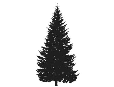 Ladin ağacı silueti. Noel ağacı. Noel, Yeni Yıl ve doğa tasarım unsuru. basit biçimdeki izole vektör resmi