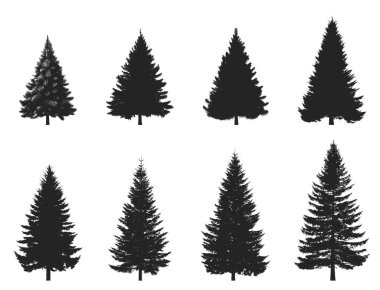 Ladin ağacı silueti seti. Noel, Yeni Yıl ve doğa tasarım unsurları. Kozalaklı vektör resimleri