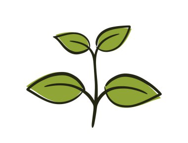 Dört yapraklı filiz. Bahar, ekme ve doğa tasarım elementleri. İzole vektör resmi