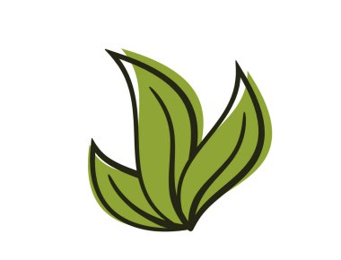 Üç yapraklı filizlenme. Bahar, ekme ve doğa tasarım elementleri. İzole vektör resmi