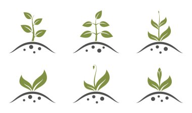 Plant sprout icon set. Spring, growing and planting symbols. Isolated vector images in simple style clipart