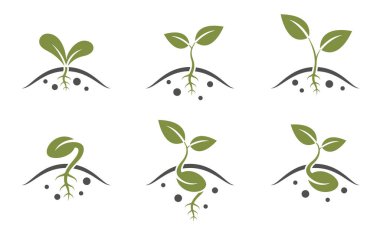 Filizlenme ikonu seti. Tohum yetiştirme, tohum ekme ve tohum ekme sembolleri. basit biçimdeki izole vektör resimleri
