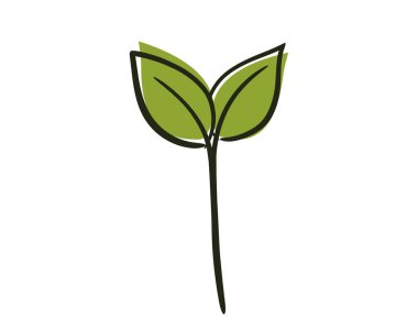 Filizlenmiş bitki çizimi. Tohumlama, ekme ve bahar tasarım elementleri. İzole vektör resmi