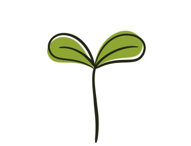 İki yapraklı filizlenme. Ekme ve bahar tasarım elementleri. İzole vektör resmi