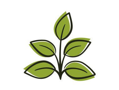 Beş yapraklı bahar bitkisi. Bahar, ekme ve doğa tasarım elementleri. İzole vektör resmi