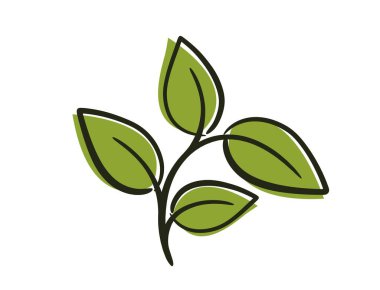 Dört yapraklı kavisli bitki. Doğa, ilkbahar ve ekme tasarım elementi. İzole vektör illüstrasyonu