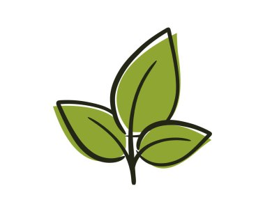 Üç yapraklı bitki. Doğa, ilkbahar ve ekme tasarım elementi. İzole vektör resmi