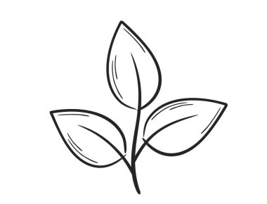 Bitki filizi çizimi. Bahar, ekme ve doğa tasarım elementleri. İzole vektör resmi