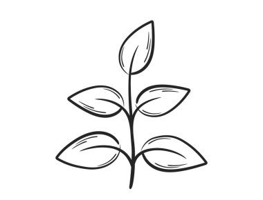 Beş yaprak çizgisi olan bitki. Bahar, ekme ve doğa tasarım elementleri. İzole vektör resmi