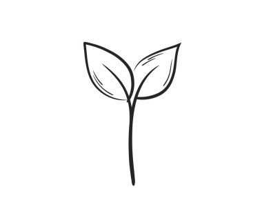 Filizlenmiş bitki çizgisi çizimi. Tohumlama, ekme ve bahar tasarım elementleri. İzole vektör resmi