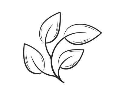 Dört yaprak çizgisi olan kavisli bir bitki. Bahar, ekme ve doğa tasarım elementleri. İzole vektör resmi